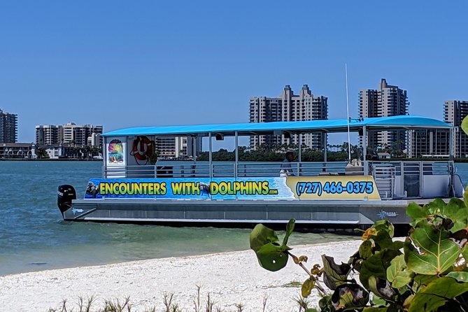 Clearwater Encounters With Dolphins Tour - Logistical Details