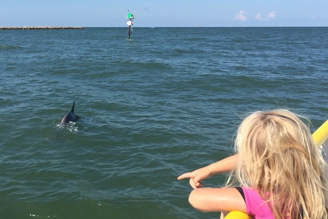 Clearwater Encounters With Dolphins Tour - What to Expect