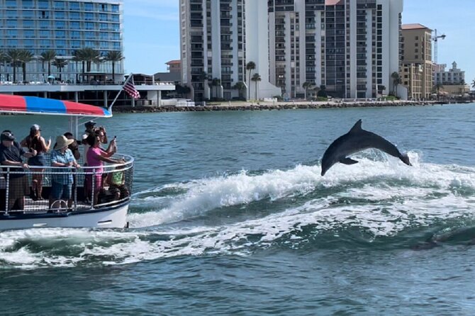 Clearwater Encounters With Dolphins Tour - Getting There