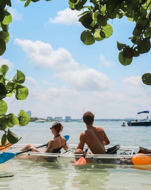Clearwater: Guided Clear Kayaking Tour - An In-Depth Look at the Clearwater Guided Kayaking Tour