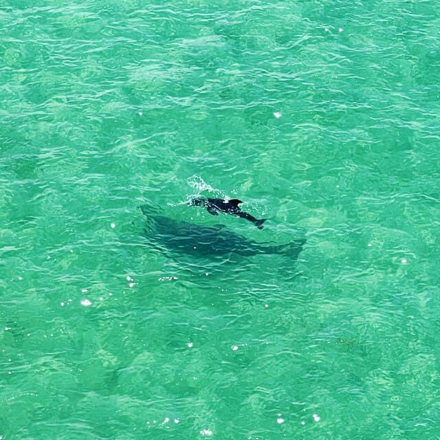 Clearwater: Guided Clear Kayaking Tour - Who Should Consider This Tour?