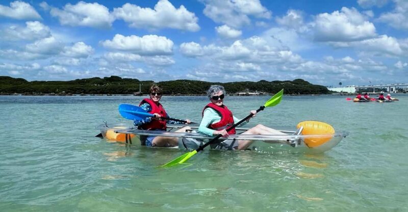Clearwater: Guided Clear Kayaking Tour - Experience Highlights