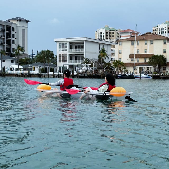 Clearwater: Guided Clear Kayaking Tour - Accessibility and Cancellation Policy