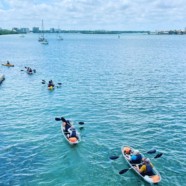 Clearwater: Guided Clear Kayaking Tour - Frequently Asked Questions