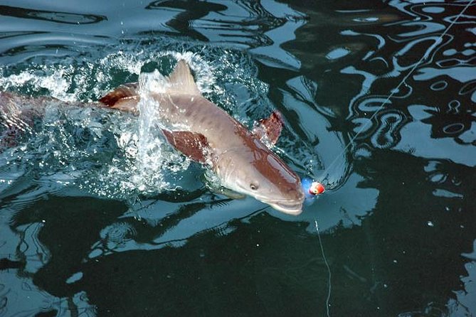Clearwater Inshore Fishing Charter - Frequently Asked Questions