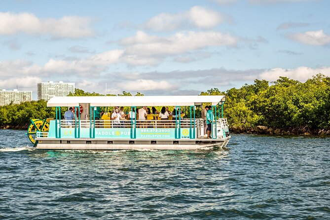 Clearwater Island Hop and Dolphin Watch With Swimming - Whats Included