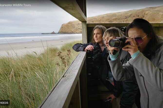 Clearwater Private Penguin & Wildlife Tour from Port Otago (5hrs) - What Makes This Tour Stand Out?