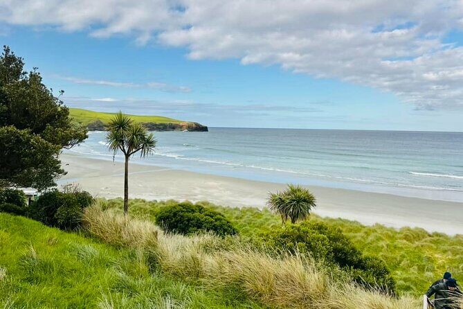 Clearwater Wildlife Tours (small group 10max) Otago Peninsula - FAQ