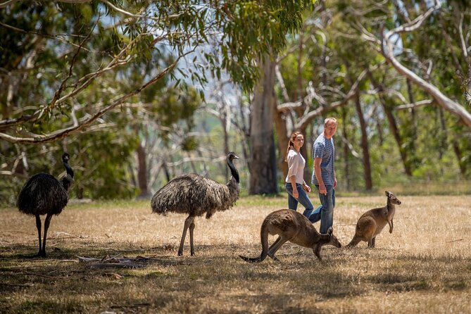 Cleland Hike and Wildlife Day Tour - Location and Itinerary
