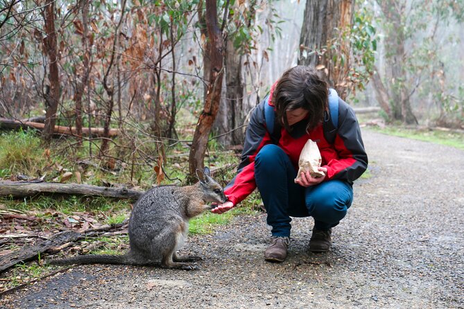 Cleland Hike and Wildlife Day Tour - Hiking and Exploration