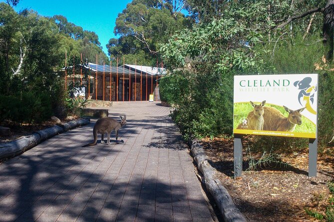 Cleland Hike and Wildlife Day Tour - Health and Safety