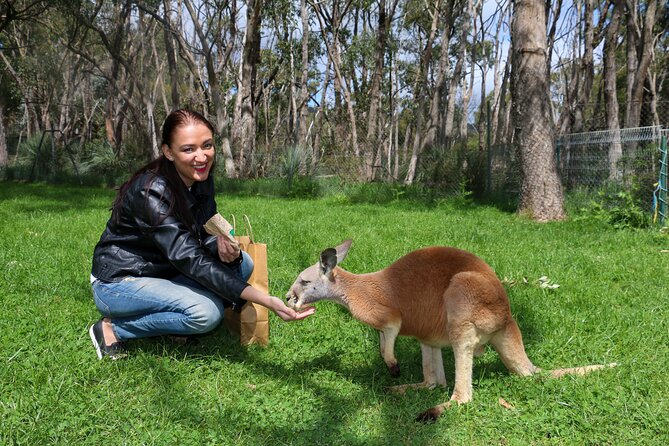 Cleland Wildlife Park Experience - From Adelaide Including Mt Lofty Summit - Inclusions and Amenities
