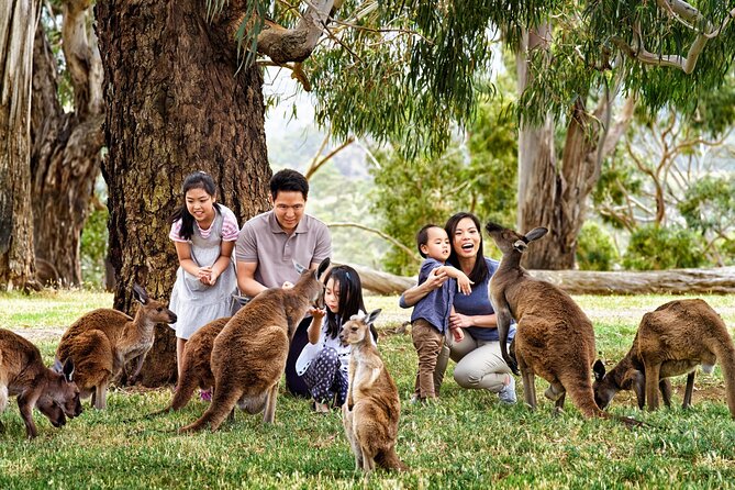 Cleland Wildlife Park Experience - From Adelaide Including Mt Lofty Summit - Booking and Payment Details