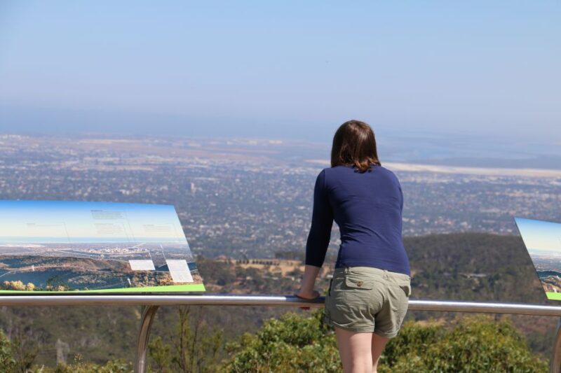 Cleland Wildlife Park Experience With Mount Lofty Summit - Unique Koala Experience