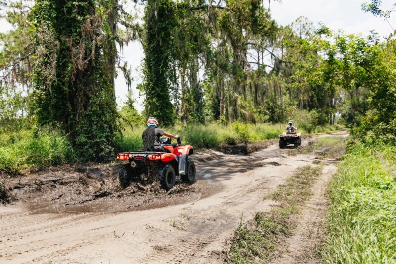 Clermont: Single-seat ATV Quad Bike Adventure - Pricing and Reservation