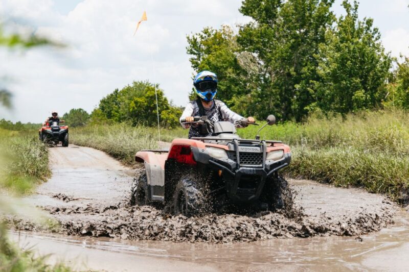 Clermont: Single-seat ATV Quad Bike Adventure - Local Wildlife Encounters