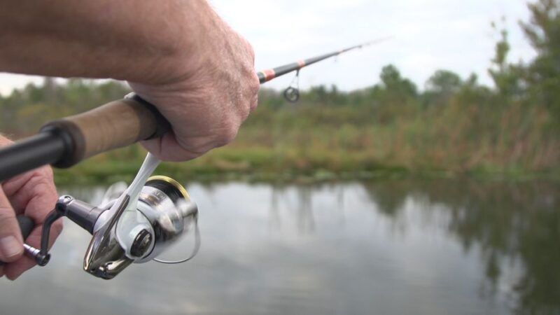 Clermont: Trophy Bass Fishing Experience With Expert Guide - Cancellation Policy