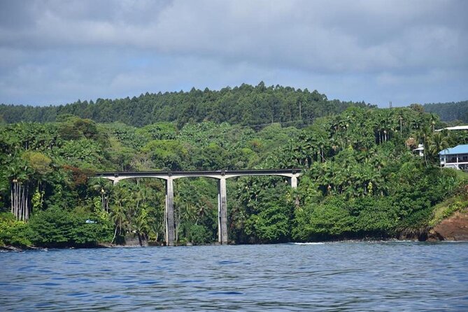 Cliffs of Hawaii Onomea Waterfall Afternoon Cruise - Participant Information