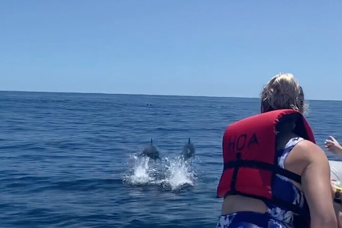 Cliffs of Hawaii Onomea Waterfall Afternoon Cruise - Cancellation and Reviews