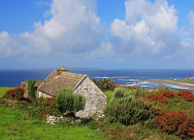 Cliffs of Moher and Burren Day Trip, Including Dunguaire Castle, Aillwee Cave, and Doolin From Galway - Just The Basics