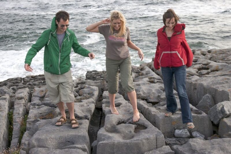 Cliffs of Moher and More: Full-Day Tour From Cork - Key Points