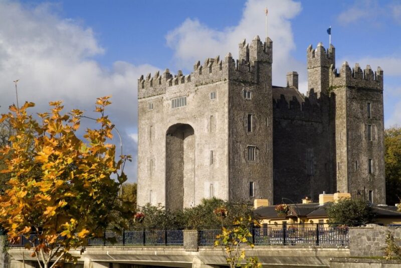 Cliffs of Moher and More: Full-Day Tour From Cork - Inclusions