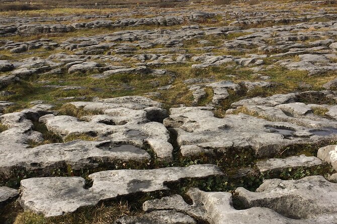 Cliffs of Moher and the Burren Private Tour - Exploring the Cliffs