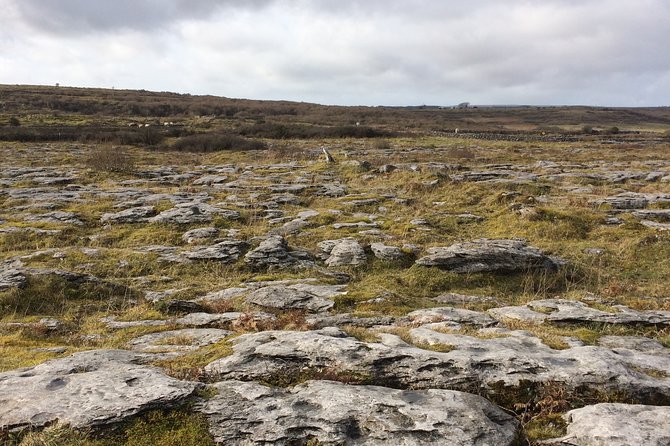Cliffs of Moher and the Burren Private Tour - Questions About Staying Here