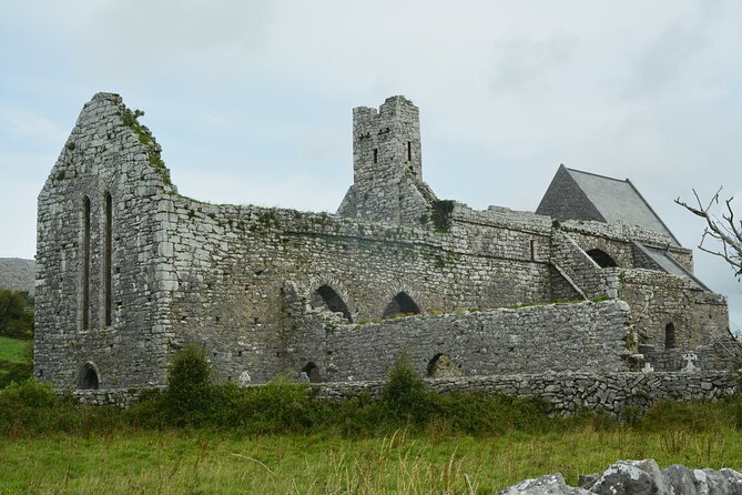 Cliffs of Moher and Wild Atlantic Way Private Tour From Dublin - Customer Reviews and Ratings