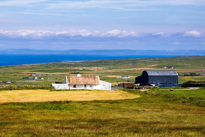 Cliffs of Moher, Boat Cruise & Aillwee Cave Day Tour From Dublin - Tour Details