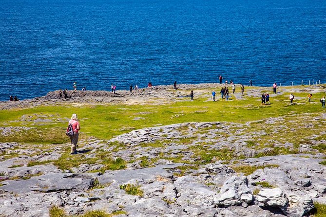 Cliffs of Moher, Boat Cruise & Aillwee Cave Day Tour From Dublin - Inclusions and Exclusions