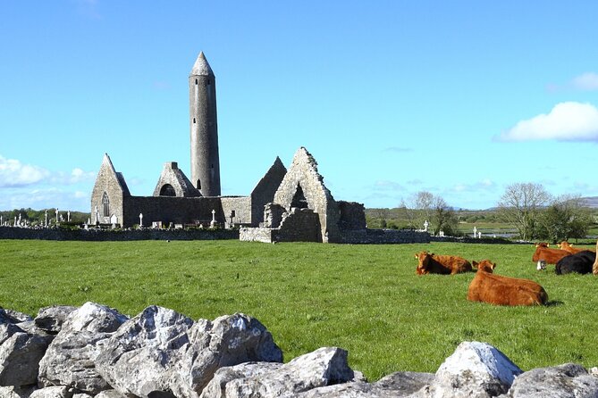 Cliffs of Moher, Burren and Galway City Tour - Meeting Point and Arrival Time