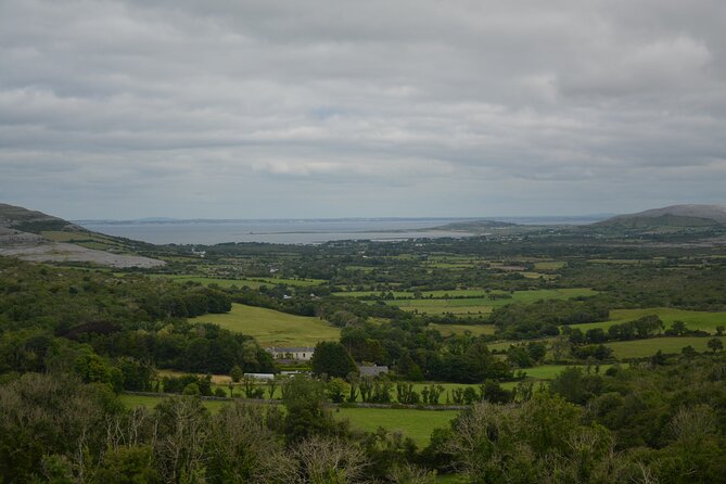 Cliffs of Moher, Burren and WAW Private Tour From Galway - Pricing and Policies
