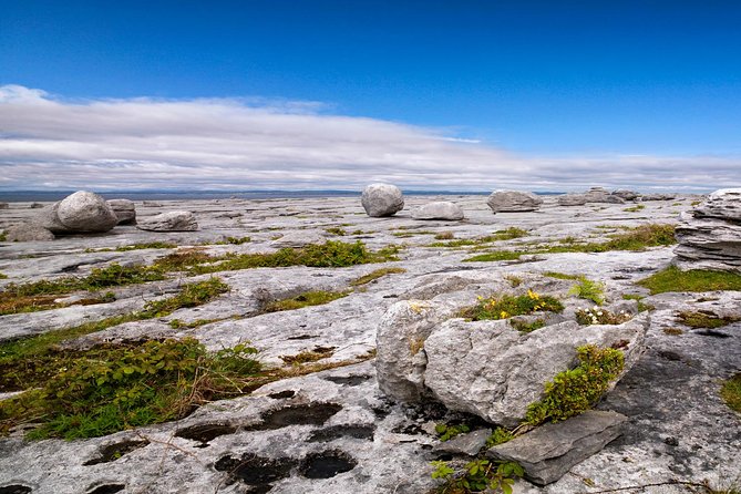 Cliffs of Moher Tour Including Wild Atlantic Way and Galway City From Dublin - Just The Basics