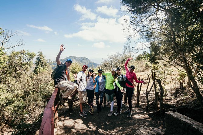 Climb Active Pacaya Volcano + Box Lunch at the Top - Shared Tour - Horse Rental and Weather