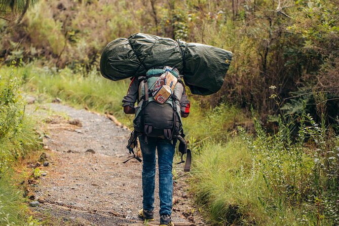 Climbing Kilimanjaro Through 8 Days Lemosho Route - Health and Safety