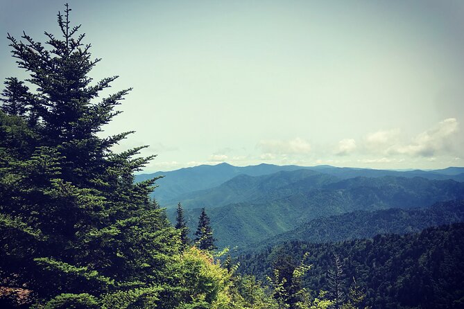 Clingmans Dome Hike - Location and Tour Details
