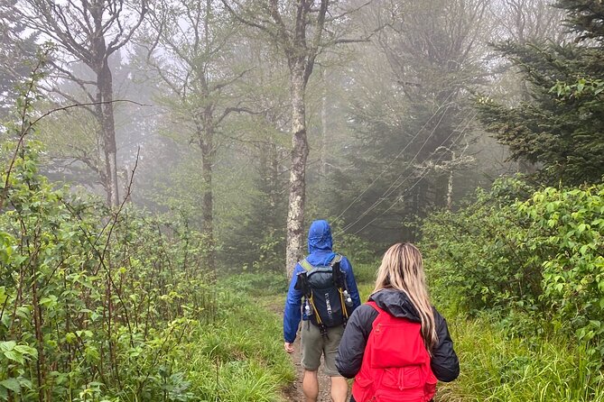 Clingmans Dome Hike - Trail Highlights
