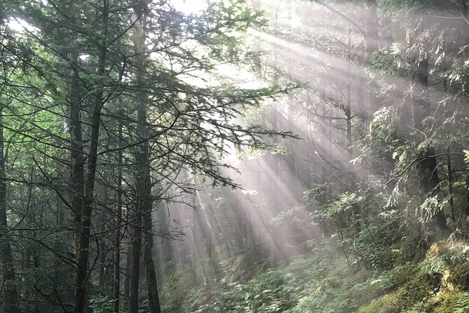 Clingmans Dome Hike - Inclusions and Requirements