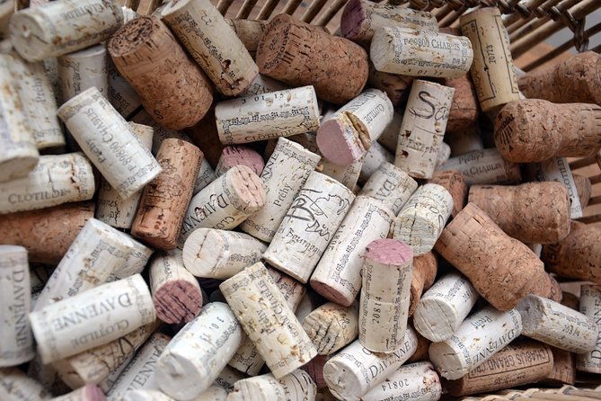 Clotilde Davenne Wine and Cheese Pairing Tasting in Chablis - Inquiries and Support