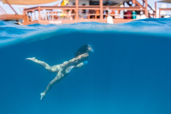 Cloud 9 Half Day Tour Inclusive of Food & Bar Coupon Plus Transfers - Pickup Information