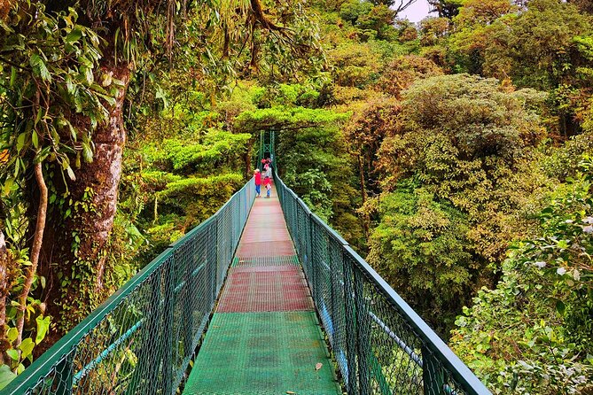 Cloud Forest Hanging Bridges With a Local Naturalist Tour Guide - Elevated Viewpoints