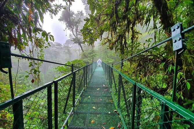 Cloud Forest Hanging Bridges With a Local Naturalist Tour Guide - Booking Flexibility