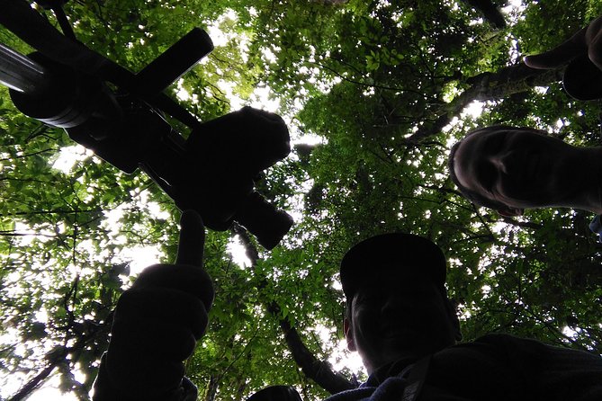 Cloud Forest Hanging Bridges With a Local Naturalist Tour Guide - Special Offer Details