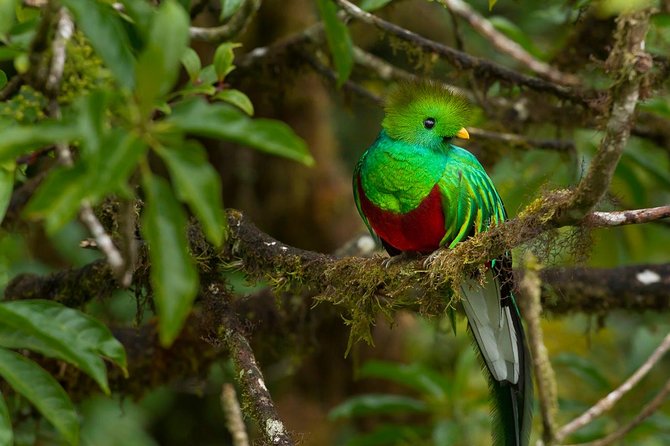 Cloud Forest Hike at Juan Castro Blanco National Park - Discovering the National Park