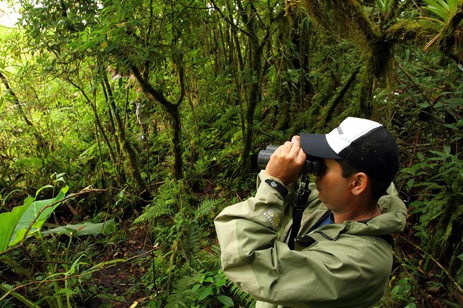 Cloud Forest Hike at Juan Castro Blanco National Park - Reaching the Pozo Verde Lagoon