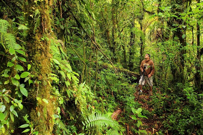 Cloud Forest Hike at Juan Castro Blanco National Park - Enjoying the Typical Costa Rican Lunch
