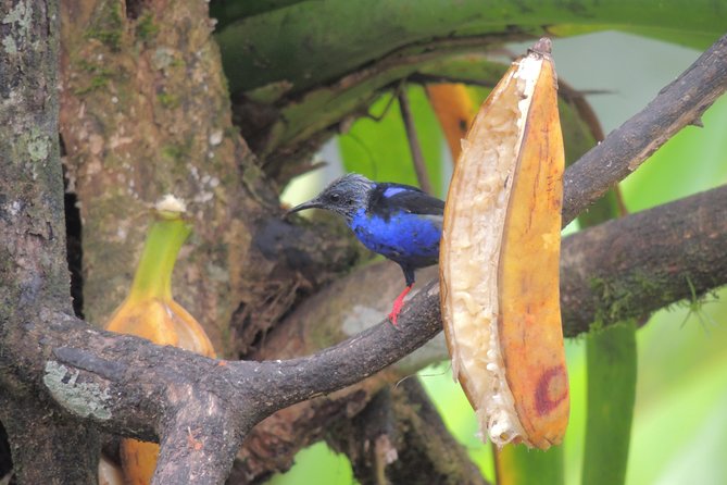 Cloud Forest Hike - Water National Park: Juan Castro Blanco National Park - Reviews and Feedback