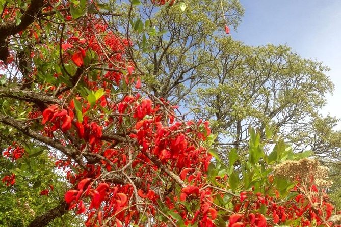 Cloud Forest Hiking - Key Points