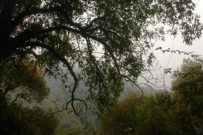 Cloud Forest Hiking - Location and Duration
